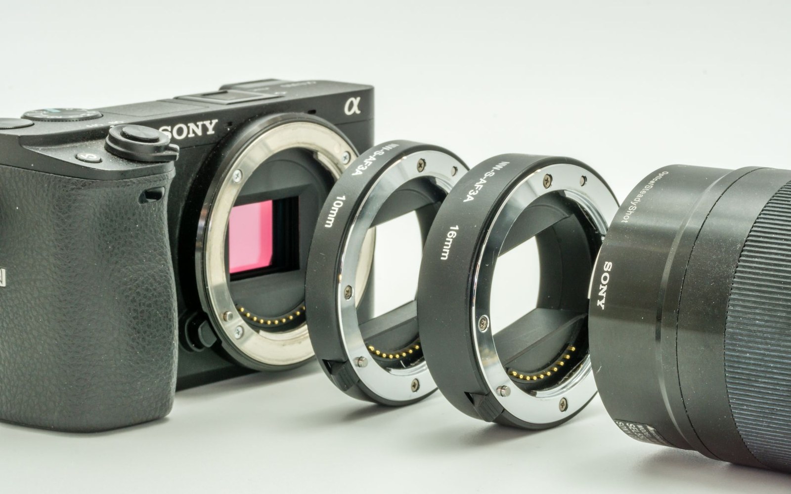 A row of mirrorless camera bodies on a bench — Nikon Z8, Sony a7R V, Fujifilm X-T5 — shot from above, lens mounts facing up